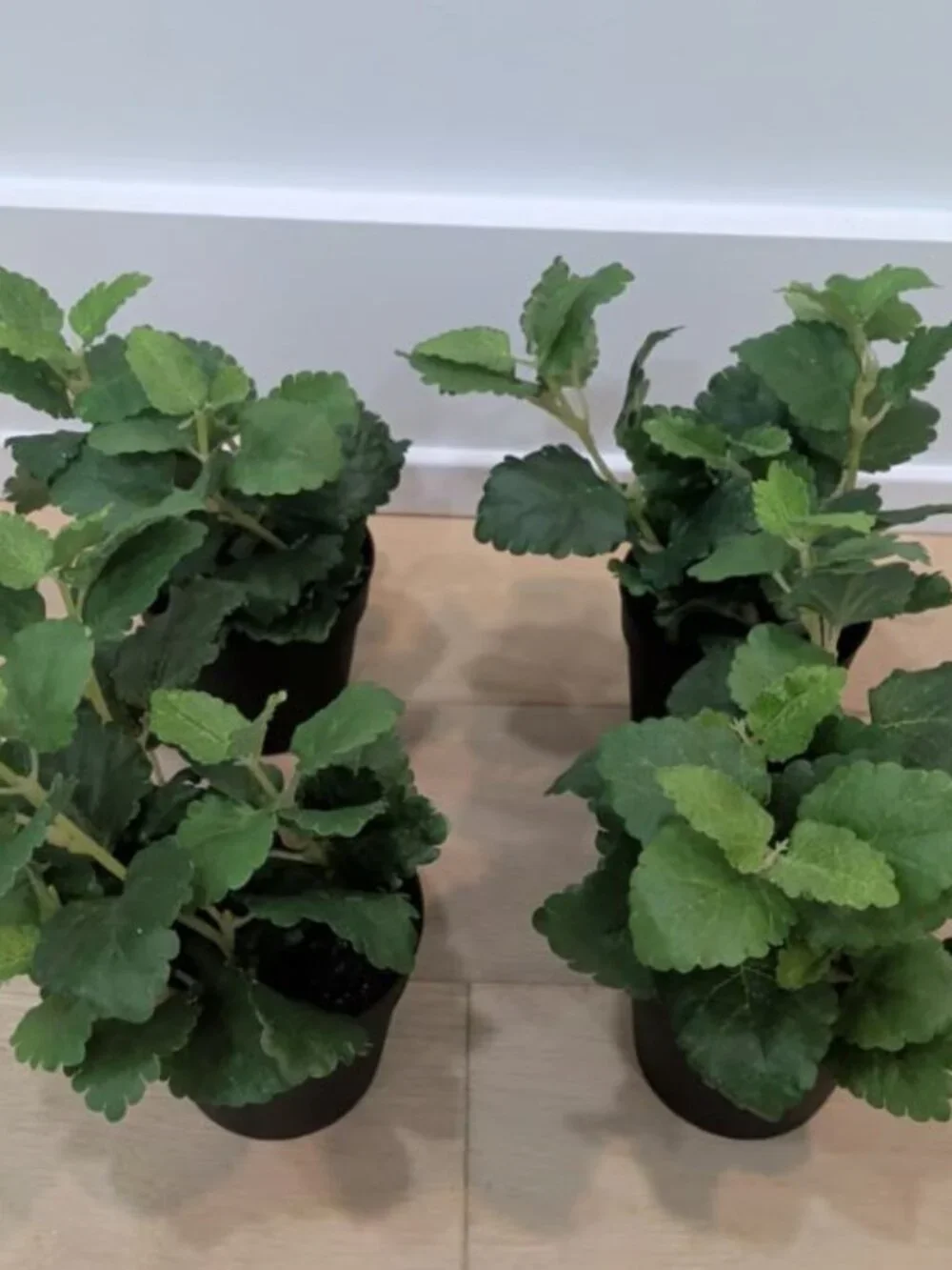 SET LOT OF 4 IKEA FEJKA Artificial Faux Fake Potted Plants Herb 302.341.68